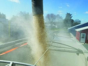 Soybeans