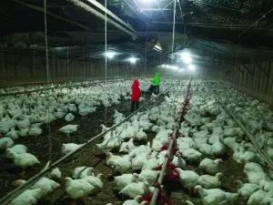 Baxter Farms